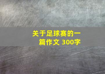 关于足球赛的一篇作文 300字